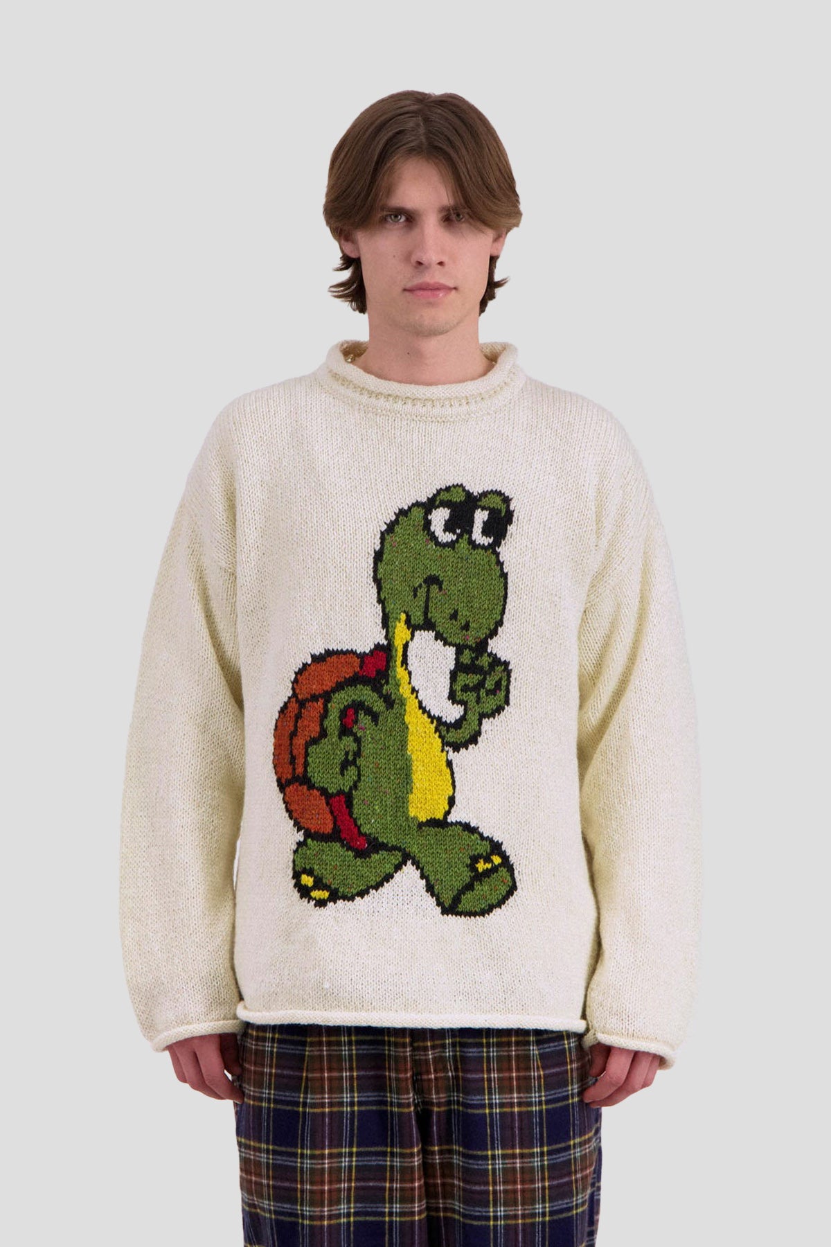 Turtles Have Short Legs Sweater