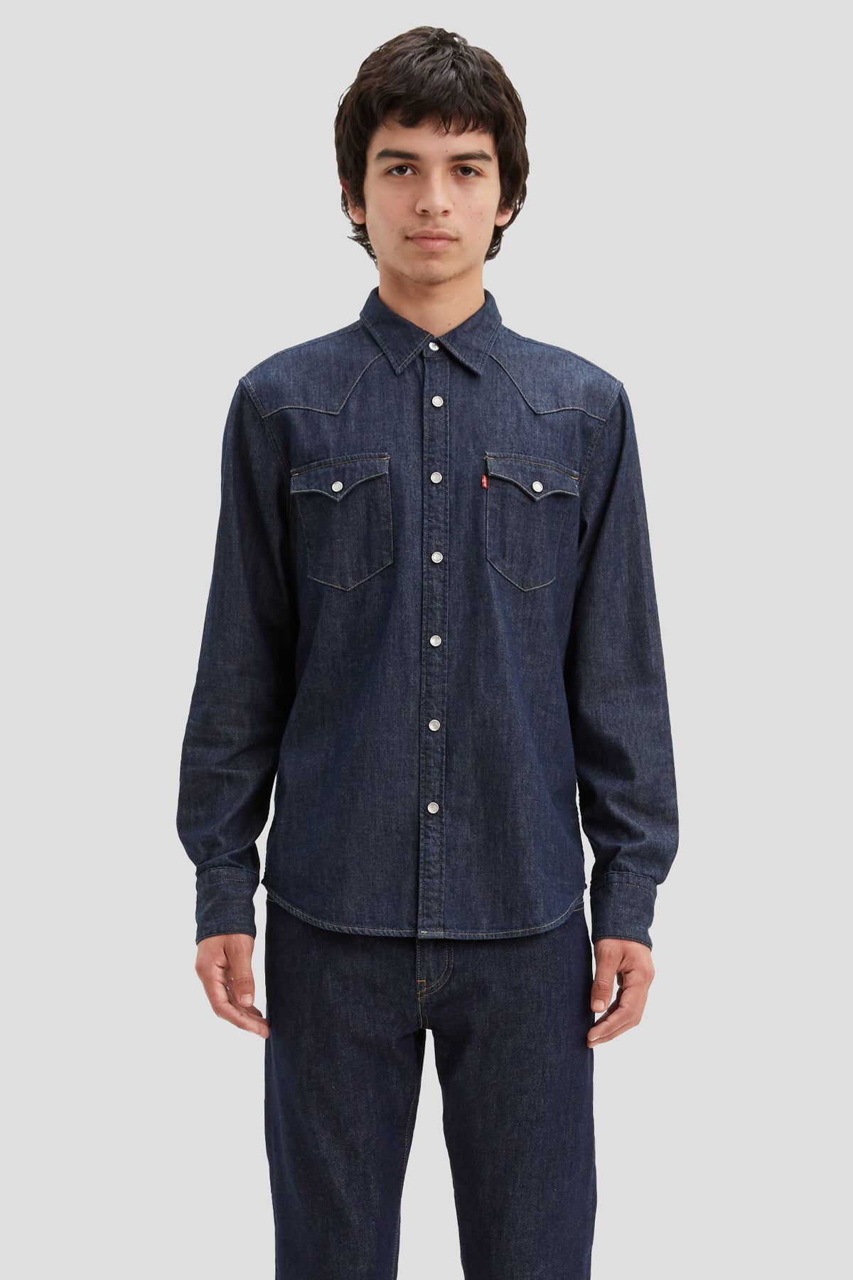 Barstow Western Standard Shirt
